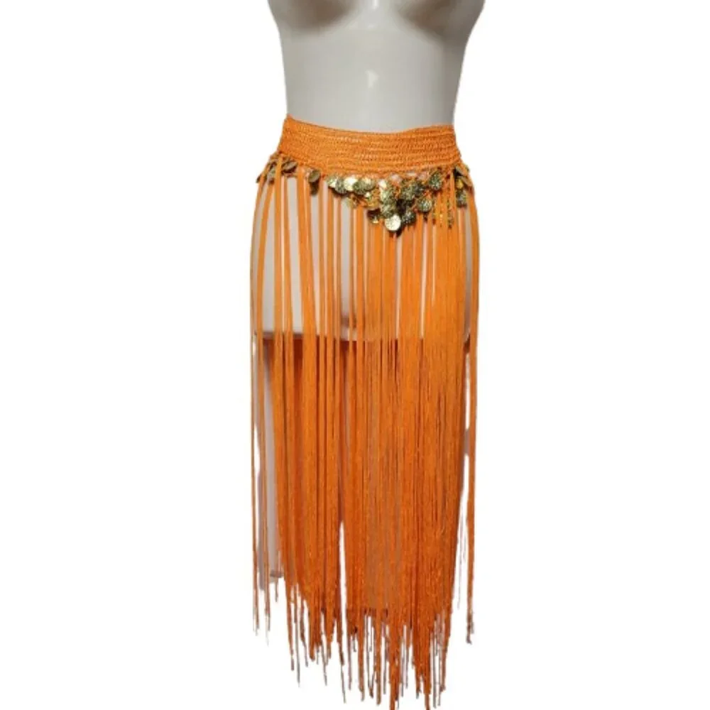 Hip Skirt Belly Dance Tassels Fringe Skirt Bellydance Coins and Fringe Hip Scarf - Picture 1 of 11